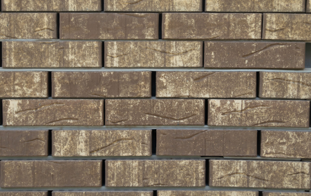 Кротовский Дверг 1НФ