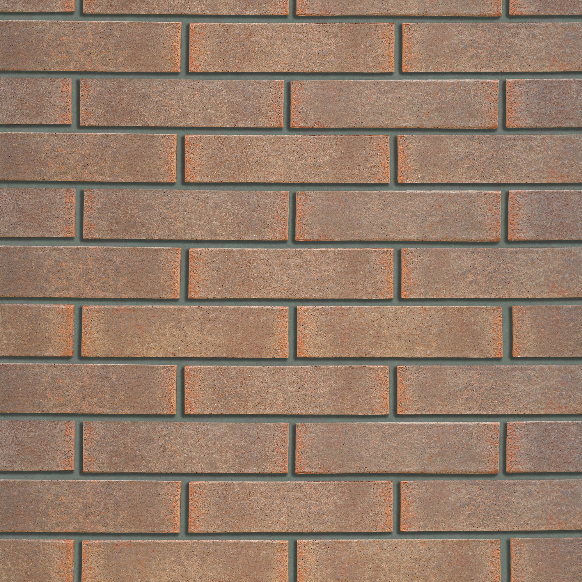 Кротовский Осень 1НФ