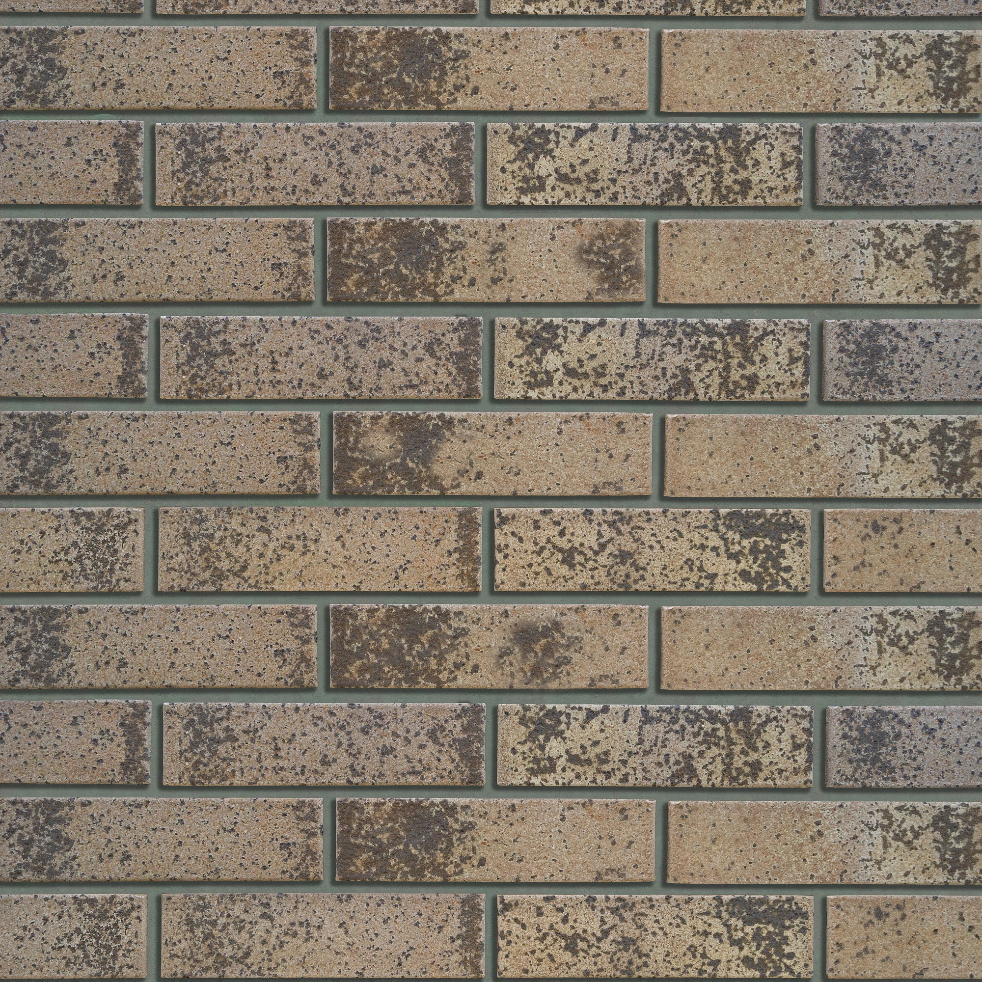 Кротовский Диорит 1НФ